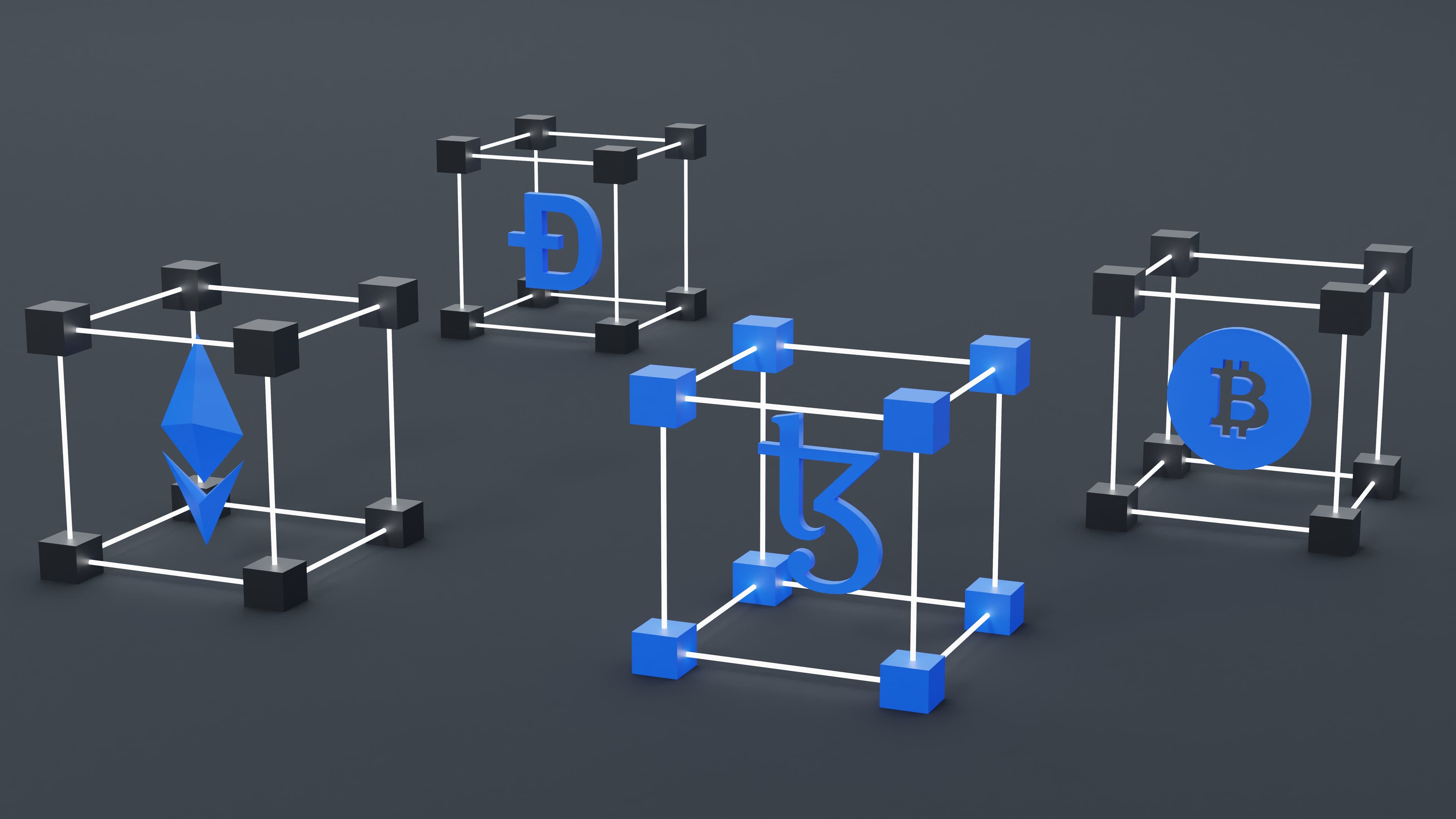 web-development